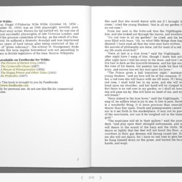 PDF Flipbook, links, customization and tips with dFlip